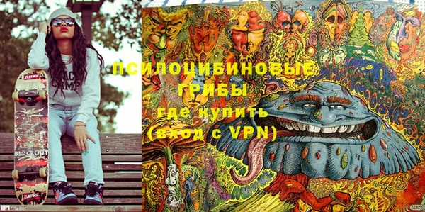 герыч Мегион