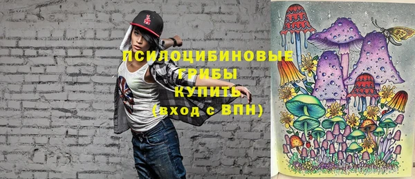 герыч Мегион