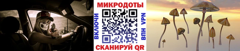 Галлюциногенные грибы GOLDEN TEACHER  где можно купить наркотик  Пятигорск 